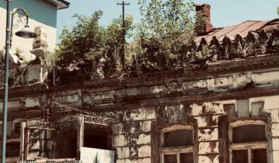 Kars’ta tarihi binada ağaç filizlendi