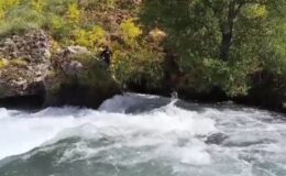 Van’da kaybolan çocuğun cansız bedeni bulundu