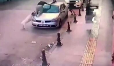 Gençler, köpek saldırısından aracın üstüne çıkarak kurtuldu