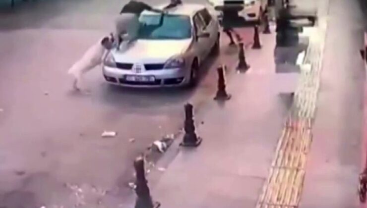 Gençler, köpek saldırısından aracın üstüne çıkarak kurtuldu