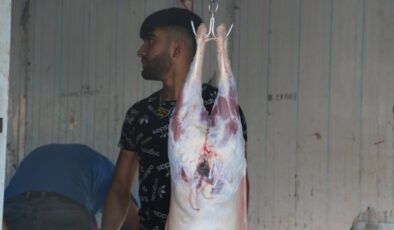 Kurban bayramında acemi kasaplar için önemli uyarılar