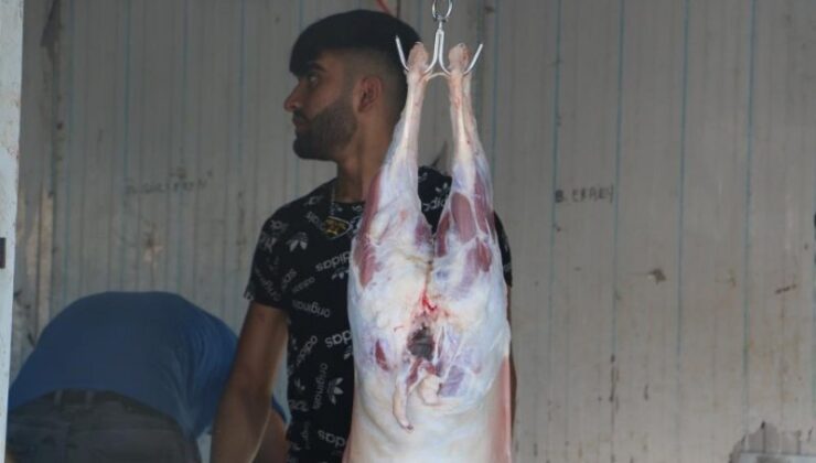 Kurban bayramında acemi kasaplar için önemli uyarılar