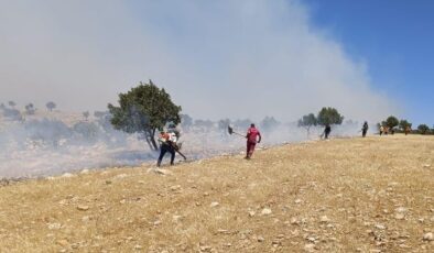 Mardin’de arazi yangını kontrol altına alındı