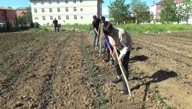 Muş’ta öğrenciler okul yanını bostana çevirdi