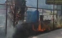 Okul bahçesindeki yangın ağaçları yaktı