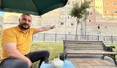Parka yuva yapan arılar şaşkınlık yarattı