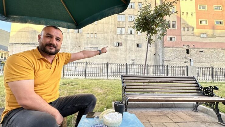 Parka yuva yapan arılar şaşkınlık yarattı