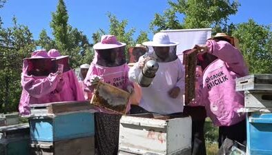 Pembe kıyafetli arıcılar, organik bal peşinde