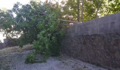 Bingöl’de şiddetli rüzgar zarar verdi