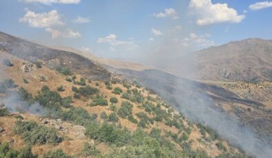 Siirt’te meşelik alanda çıkan yangın kontrol altına alındı