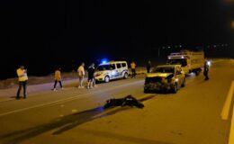 Sürüye çarpan otomobil 17 keçiyi telef etti