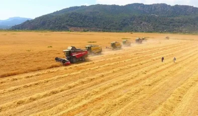 Tarım-ÜFE  yüzde 61,24 artış gösterdi