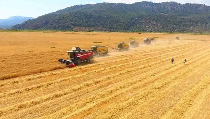 Tarım-ÜFE  yüzde 61,24 artış gösterdi
