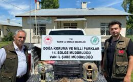 Van’da keklik avcısına ağır ceza