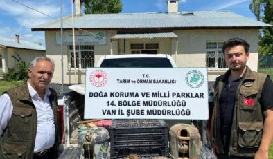 Van’da keklik avcısına ağır ceza