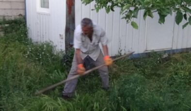 Van’da salyangoz istilası vatandaşı endişelendiriyor