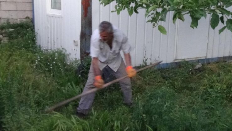 Van’da salyangoz istilası vatandaşı endişelendiriyor