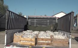 Van’da 5 ton kaçak inci kefali yakalandı