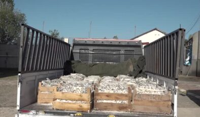 Van’da 5 ton kaçak inci kefali yakalandı