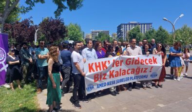 Amed Emek ve Demokrasi Platformu’ndan 100. Hafta Eylemi