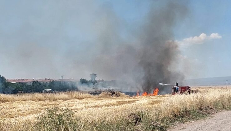 Sıcaklar nedeniyle buğday tarlasında yangın