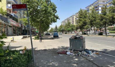 Diyarbakır Fırat Bulvarı’nda çöp sorunu