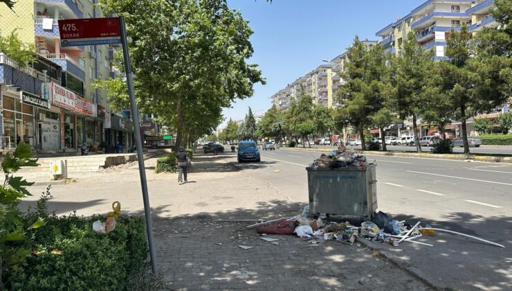 Diyarbakır Fırat Bulvarı’nda çöp sorunu