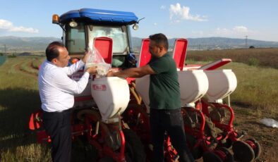 Yedisu Horoz kuru fasulyesi ekimi başladı