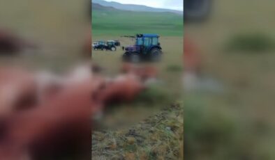 Kars’ta yıldırım düşen sürüden 10 hayvan telef oldu