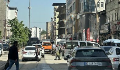 Yolun bir tarafındaki ağaçlar kurudu, diğer tarafındakiler yeşillendi
