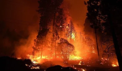 Oregon eyaletinde orman yangını: Bin 700 dönümlük alan kül oldu