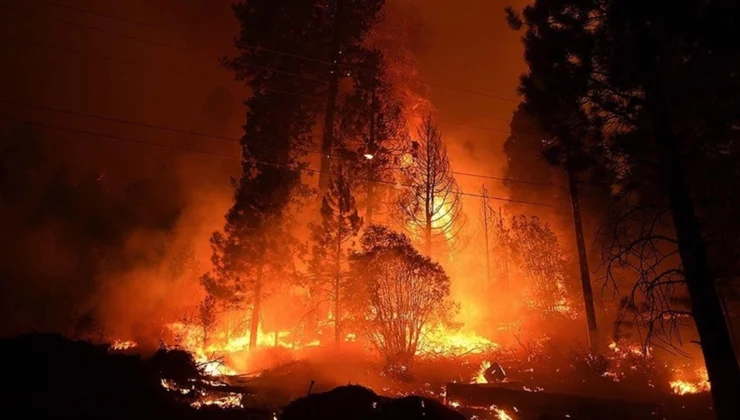 Oregon eyaletinde orman yangını: Bin 700 dönümlük alan kül oldu