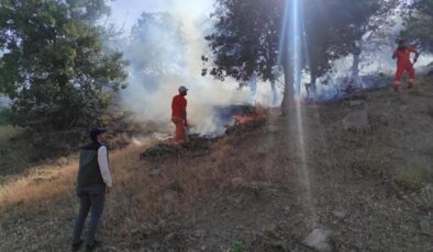 Bingöl’de iki ayrı bölgede çıkan yangınlar söndürüldü