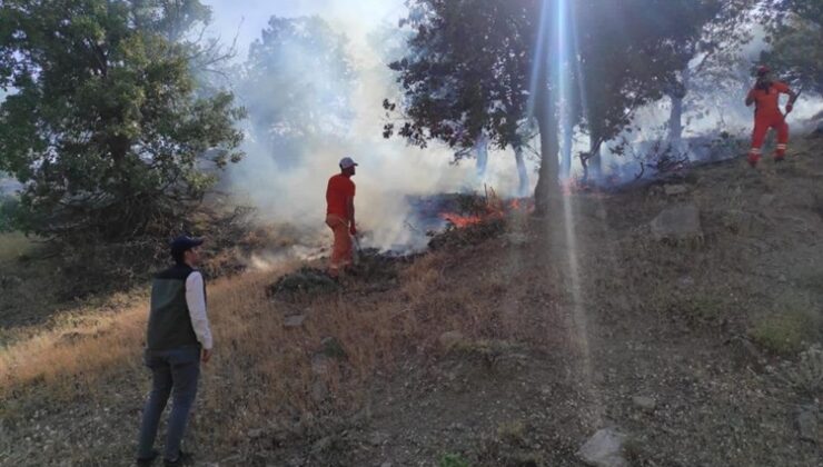 Bingöl’de iki ayrı bölgede çıkan yangınlar söndürüldü