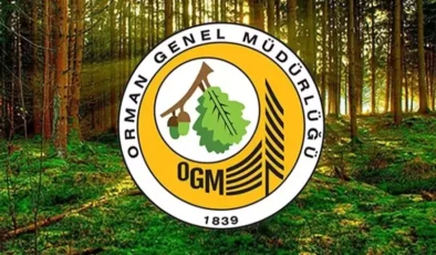 Orman Genel Müdürlüğü’nün yapay zekasına BM’den ‘Çevre’ ödülü