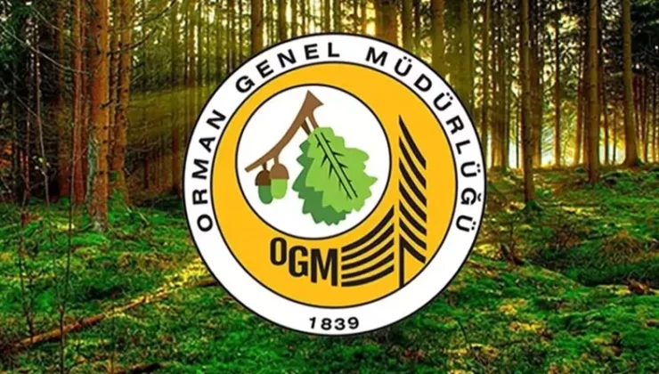 Orman Genel Müdürlüğü’nün yapay zekasına BM’den ‘Çevre’ ödülü