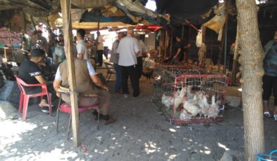 Diyarbakır Canlı Hayvan Pazarı’nda Kurban Bayramı Hareketliliği