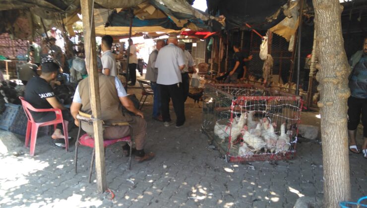 Diyarbakır Canlı Hayvan Pazarı’nda Kurban Bayramı Hareketliliği
