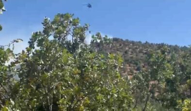 Diyarbakır’da orman yangını