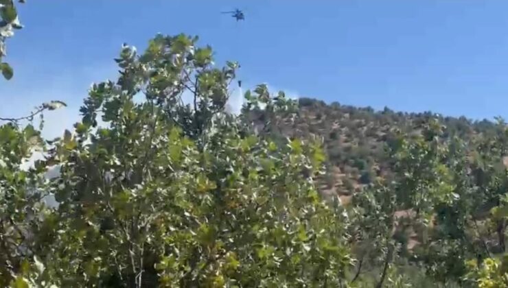 Diyarbakır’da orman yangını