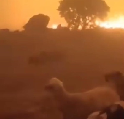 15 kişinin öldüğü yangın gecesine ait yeni görüntüler