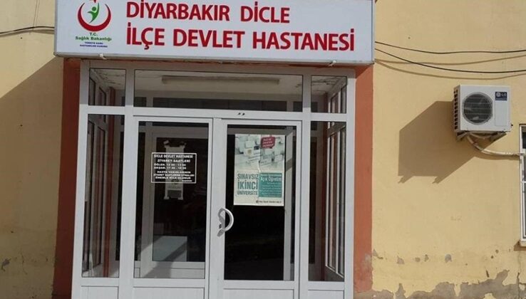 Diyarbakır’da başıboş köpekler kadına saldırdı