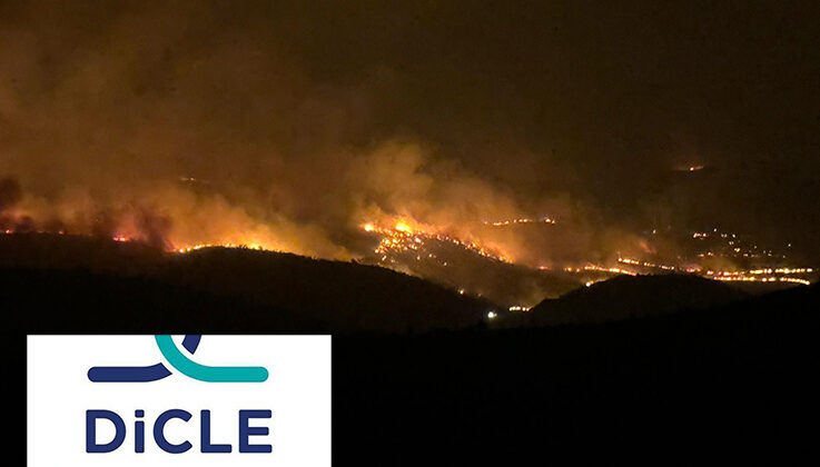 Dicle Elektrik:  Yangın elektrik iletim hatlarından kaynaklanmadığını belirledik