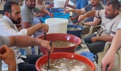 Elazığ’da ilk sazan yumurta sağımı yapıldı