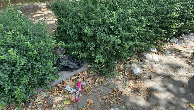 Fırat Bulvarı’nda temizlik sorunu