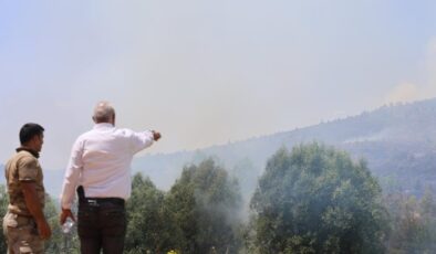 Elazığ Gezin ilçesinde orman yangını