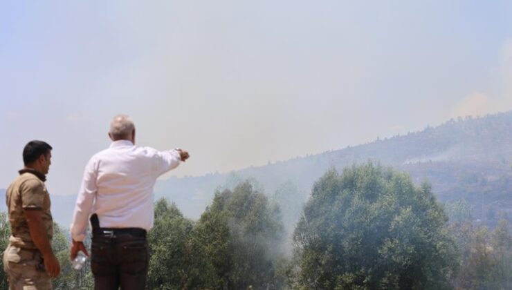 Elazığ Gezin ilçesinde orman yangını