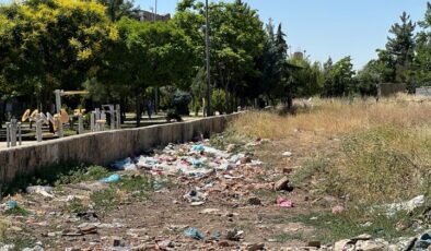 Diyarbakır’da Gulan Parkı etrafı çöplüğe döndü