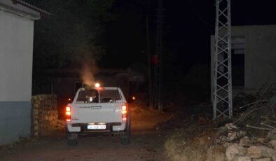 Kulp ve lice’de  ilaçlama çalışması yapıldı