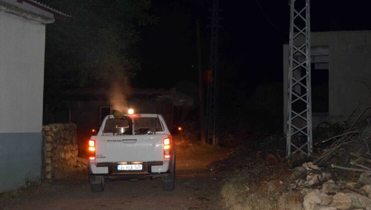 Kulp ve lice’de  ilaçlama çalışması yapıldı
